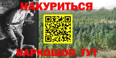 сатива Камышлов